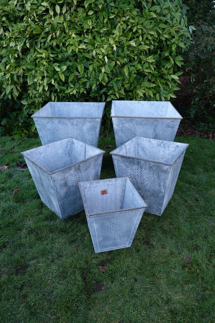 6399306