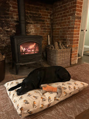 Robin Beige Nature Bird Floor Cushion Red Blue Dog Bed Christmas Indoor Gift7