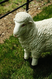 Realistic White Sheep Garden Statue Ornament Resin Outdoor Farm Animal Decor20