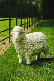 Realistic White Sheep Garden Statue Ornament Resin Outdoor Farm Animal Decor12