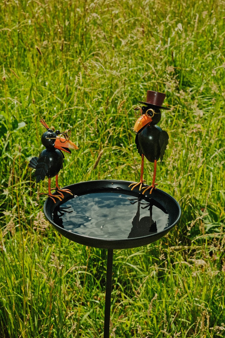 Crow Dad With Baby Birdbath Bird Bath Feeder Garden Water Bowl Gift Decor Stake4