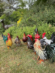 Rustic Metal Rooster Garden Ornament Bright Outdoor Yard Farmhouse Decor17
