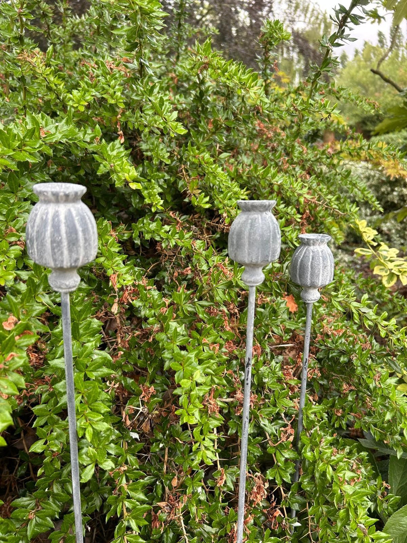 Set Of 3 Poppy Seed Heads Vintage Metal Ornament Garden Stake Outdoor Giftware2