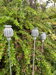 Set Of 3 Poppy Seed Heads Vintage Metal Ornament Garden Stake Outdoor Giftware2