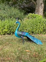 Tail Down Decorative Peacock Bird Animal Metal Garden Giftware  Ornament16
