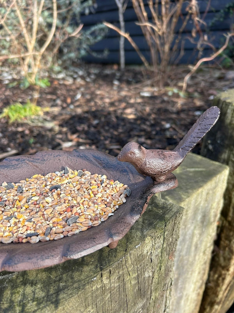 Cast Iron Leaf Bird Feeder Dish Seed Bowl Garden Gift Ornament Decoration Feed4