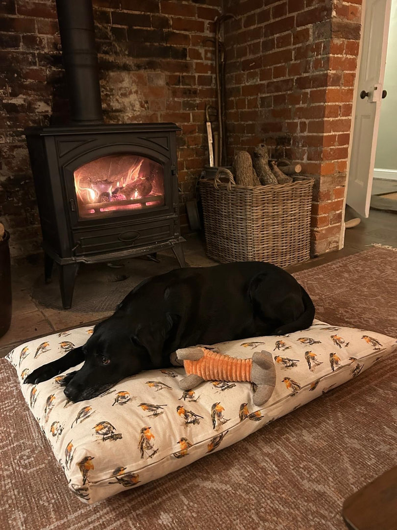 Robin Beige Nature Bird Floor Cushion Red Blue Dog Bed Christmas Indoor Gift9