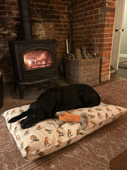 Robin Beige Nature Bird Floor Cushion Red Blue Dog Bed Christmas Indoor Gift9