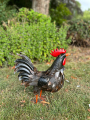 Decorative Dark Brown Metal Cockerel Rooster Garden Outdoor Lawn Ornament Decor4
