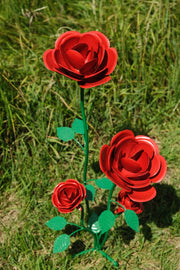 https://i.ebayimg.com/00/s/MTU5OVgxMDY2/z/yWQAAeSwYN1qO6vf/$_57.JPG