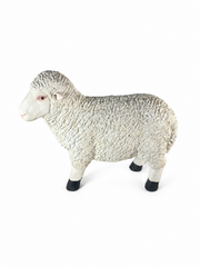Realistic White Sheep Garden Statue Ornament Resin Outdoor Farm Animal Decor3