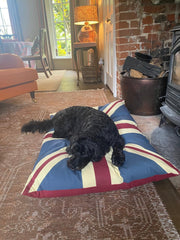 Vintage Retro Union Jack UK Floor Cushion Red Blue Dog Bed Garden Indoor Gift14