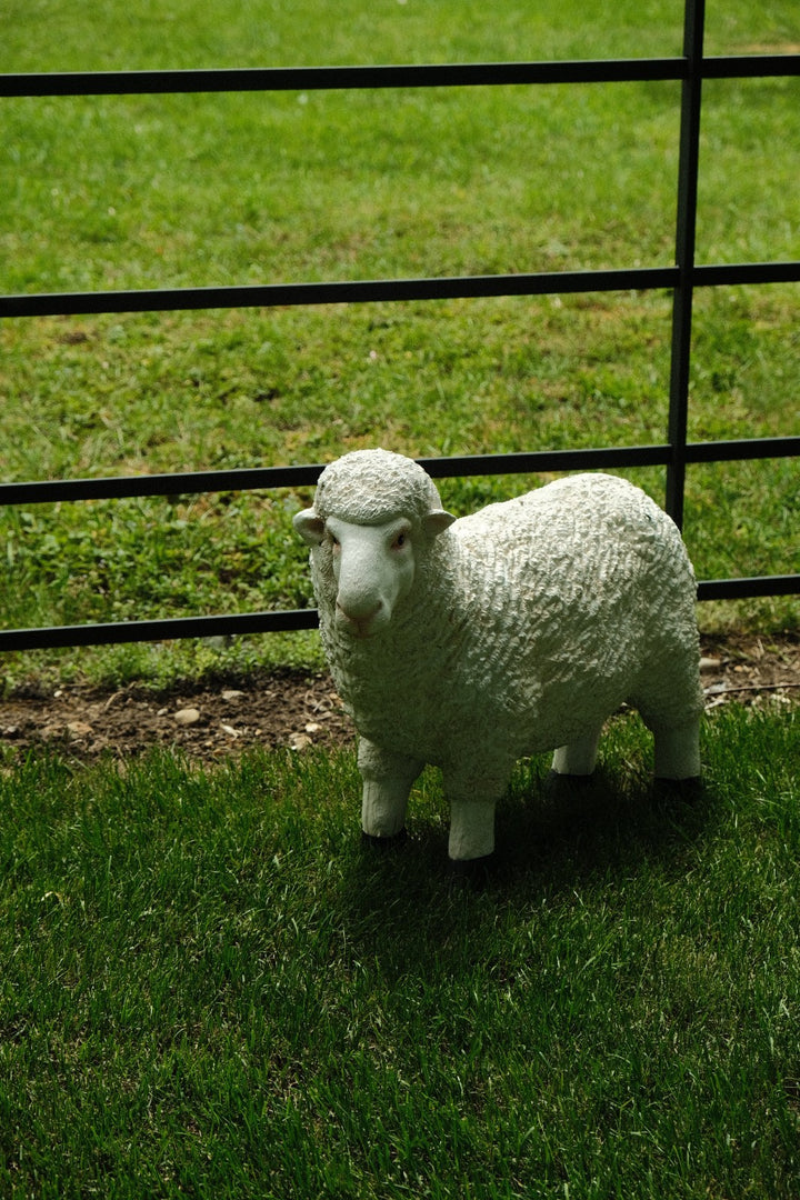 Realistic White Sheep Garden Statue Ornament Resin Outdoor Farm Animal Decor8