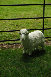 Realistic White Sheep Garden Statue Ornament Resin Outdoor Farm Animal Decor8