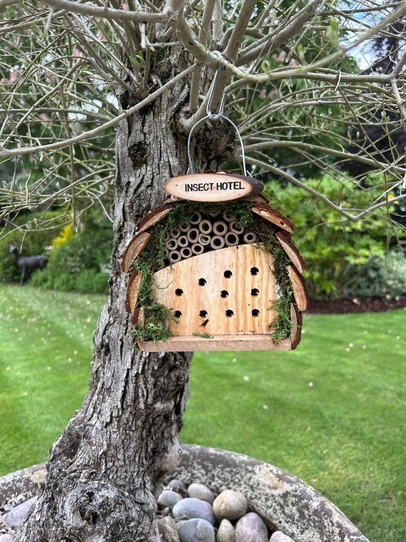 Small Wooden Insect Hotel Home Hanging Bug House with Bark Roof Garden Shelter3