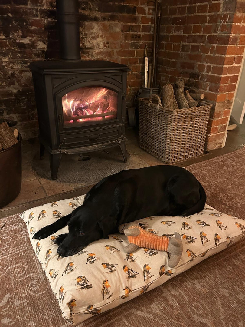 Robin Beige Nature Bird Floor Cushion Red Blue Dog Bed Christmas Indoor Gift4