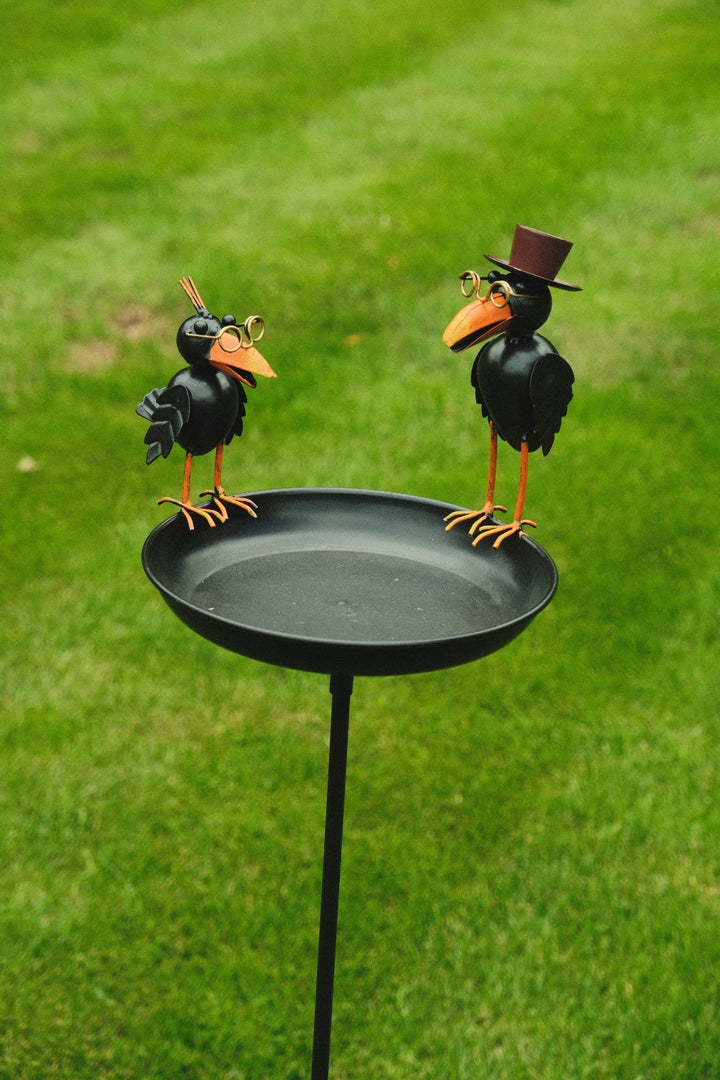 Crow Dad With Baby Birdbath Bird Bath Feeder Garden Water Bowl Gift Decor Stake10