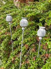 Set Of 3 Poppy Seed Heads Vintage Metal Ornament Garden Stake Outdoor Giftware5