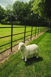 Realistic White Sheep Garden Statue Ornament Resin Outdoor Farm Animal Decor22