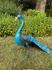Tail Down Decorative Peacock Bird Animal Metal Garden Giftware  Ornament0