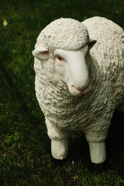 Realistic White Sheep Garden Statue Ornament Resin Outdoor Farm Animal Decor16