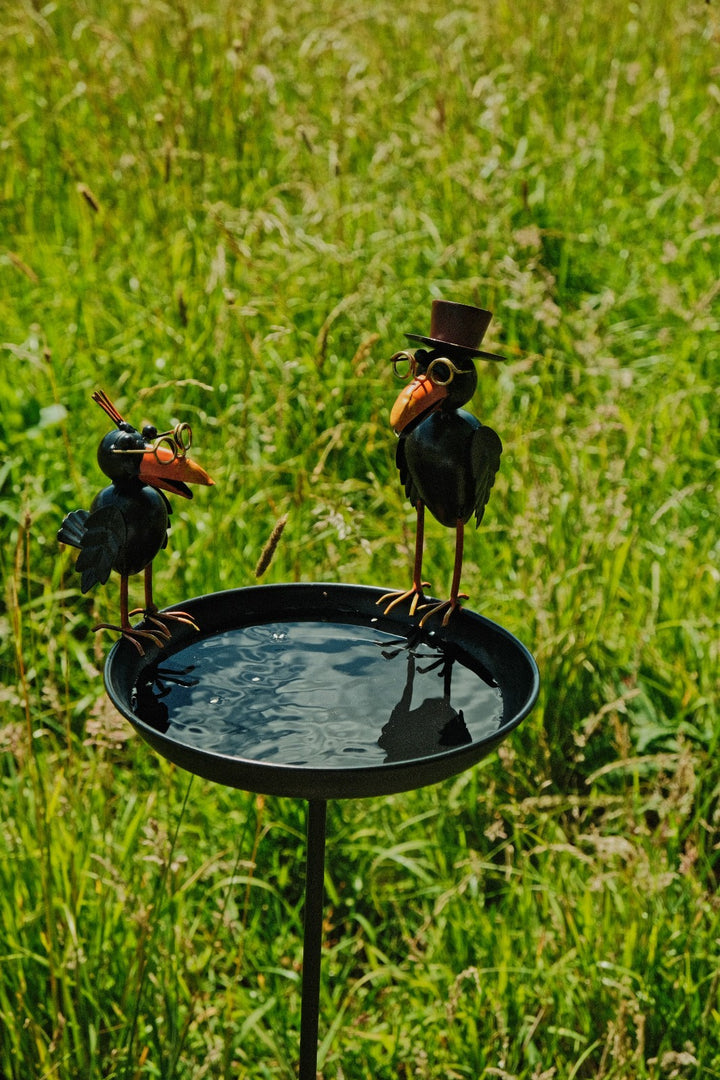 Crow Dad With Baby Birdbath Bird Bath Feeder Garden Water Bowl Gift Decor Stake0