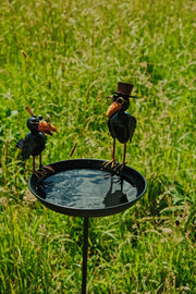 Crow Dad With Baby Birdbath Bird Bath Feeder Garden Water Bowl Gift Decor Stake0