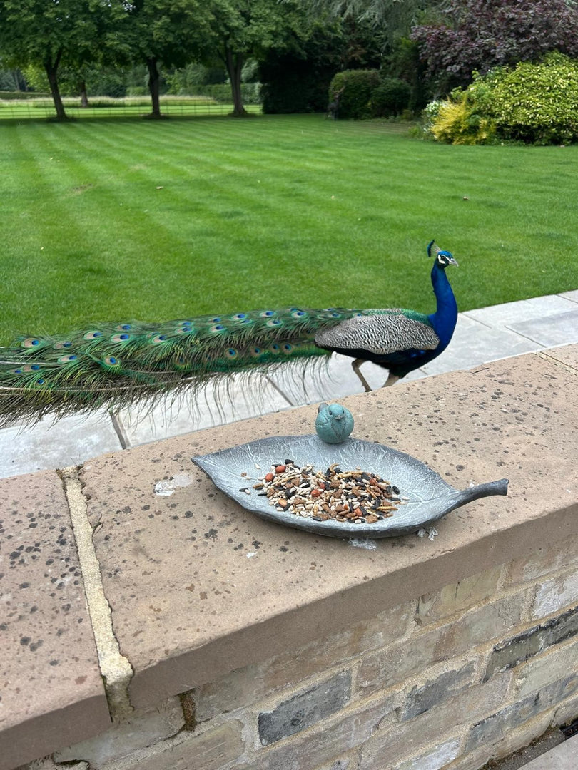 Resin Single Leaf Bowl Bird Bath Feeder Seed Nut Birds Garden Gift Ornament0
