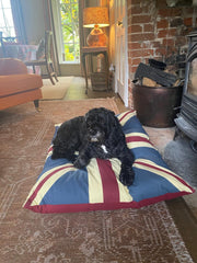 Vintage Retro Union Jack UK Floor Cushion Red Blue Dog Bed Garden Indoor Gift16