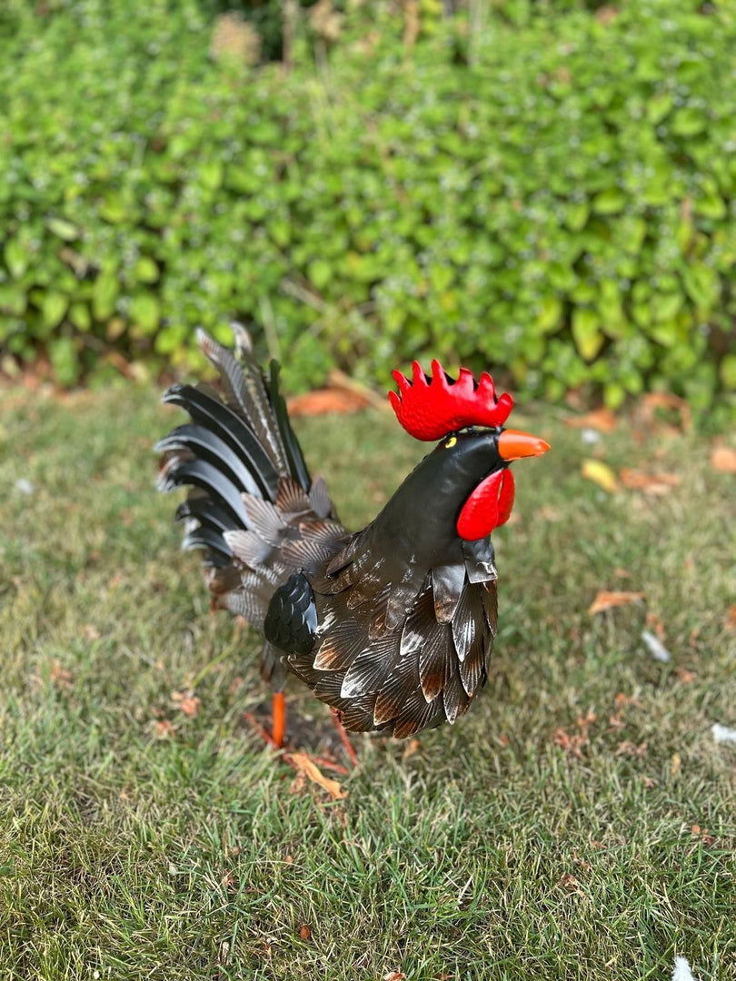 Decorative Dark Brown Metal Cockerel Rooster Garden Outdoor Lawn Ornament Decor5