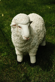 Realistic White Sheep Garden Statue Ornament Resin Outdoor Farm Animal Decor17