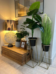 Black Plant Pot Stand Gold Frame Home Garden Decor Gift Set Of 2 Sizes Flower6