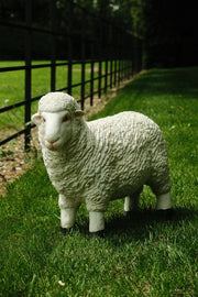 Realistic White Sheep Garden Statue Ornament Resin Outdoor Farm Animal Decor14