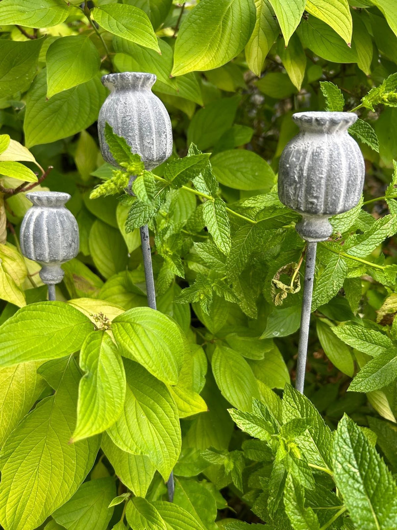 Set Of 3 Poppy Seed Heads Vintage Metal Ornament Garden Stake Outdoor Giftware8