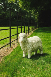 Realistic White Sheep Garden Statue Ornament Resin Outdoor Farm Animal Decor11