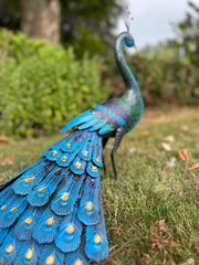 Tail Down Decorative Peacock Bird Animal Metal Garden Giftware  Ornament12