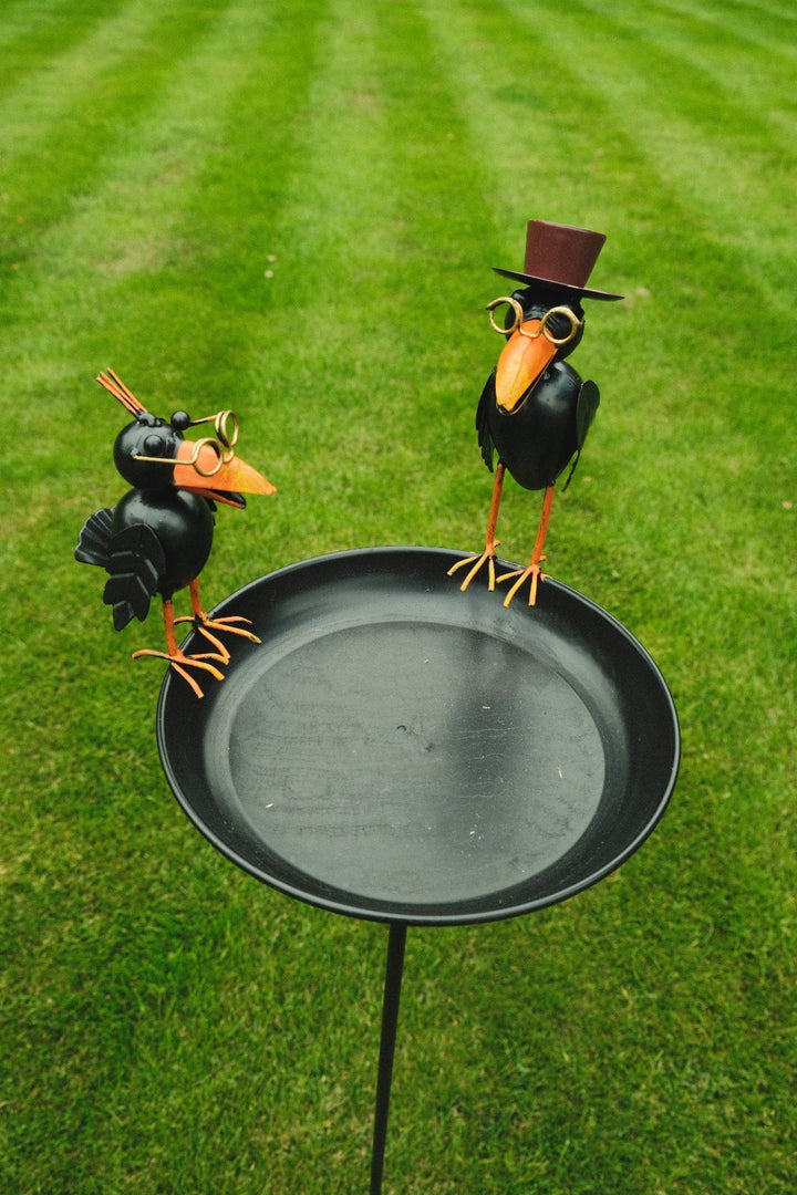 Crow Dad With Baby Birdbath Bird Bath Feeder Garden Water Bowl Gift Decor Stake2