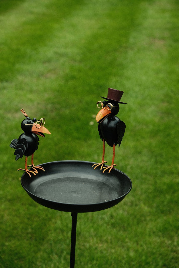 Crow Dad With Baby Birdbath Bird Bath Feeder Garden Water Bowl Gift Decor Stake20