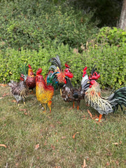 Decorative Dark Brown Metal Cockerel Rooster Garden Outdoor Lawn Ornament Decor10