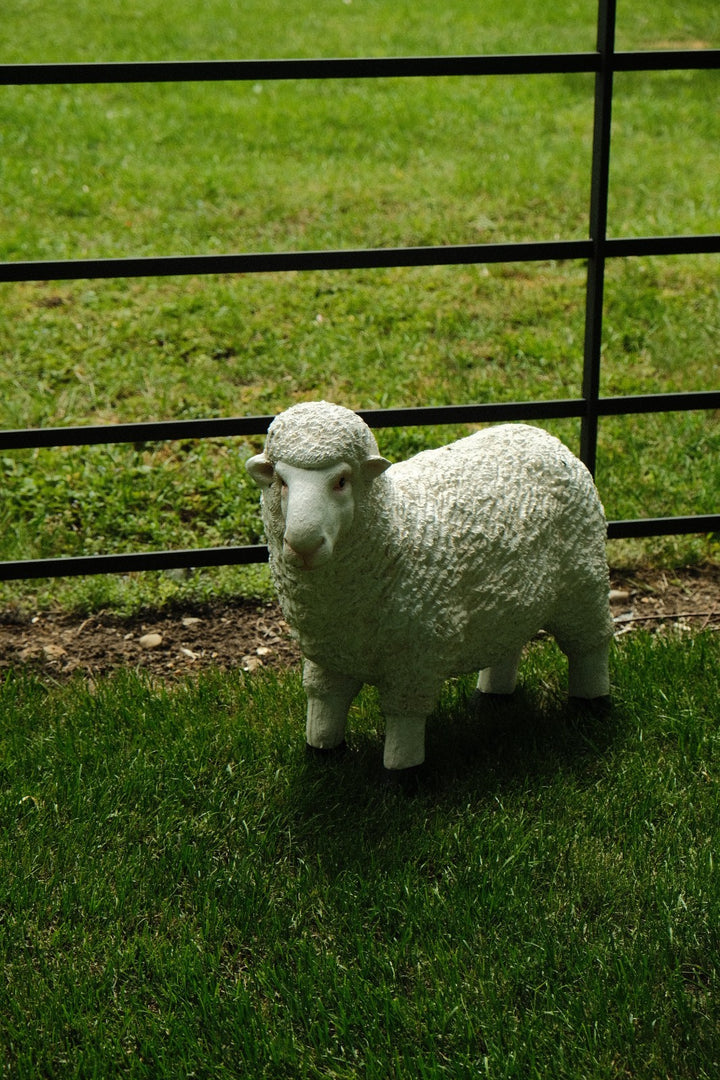Realistic White Sheep Garden Statue Ornament Resin Outdoor Farm Animal Decor2