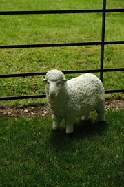 Realistic White Sheep Garden Statue Ornament Resin Outdoor Farm Animal Decor2