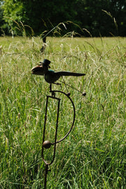 Colourful Flying Rocking Balancing Crow Rocker Garden Ornament Decoration Stake17