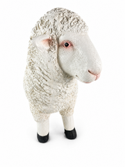 Realistic White Sheep Garden Statue Ornament Resin Outdoor Farm Animal Decor5