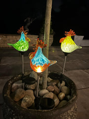 Set of 3 Solar Chicken Cockerel Lights Colourful Glass Garden Decor Stakes Gift2