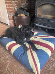 Vintage Retro Union Jack UK Floor Cushion Red Blue Dog Bed Garden Indoor Gift17