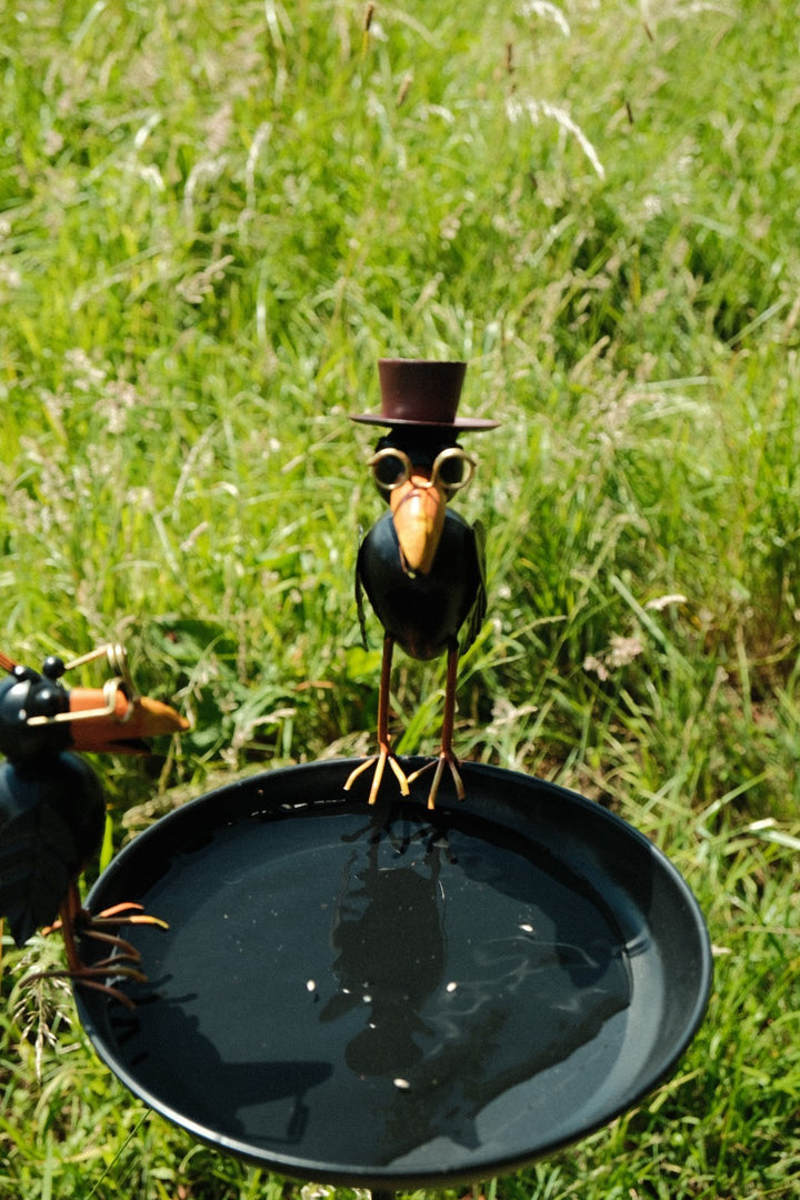 Crow Dad With Baby Birdbath Bird Bath Feeder Garden Water Bowl Gift Decor Stake3
