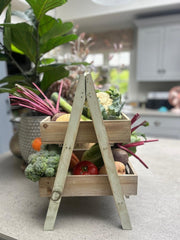 Wooden 2 Tier Vegetable Plant Storage Rack Green Tabletop Rustic Display Shop3