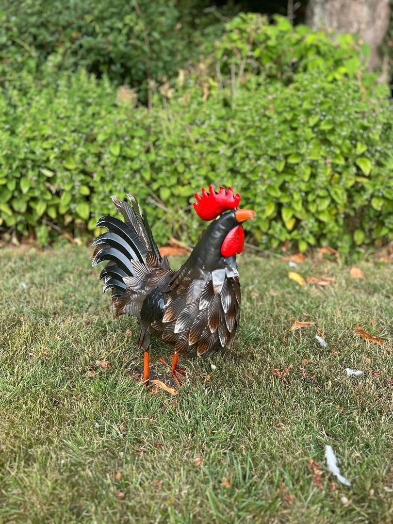 Decorative Dark Brown Metal Cockerel Rooster Garden Outdoor Lawn Ornament Decor6