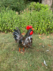 Decorative Dark Brown Metal Cockerel Rooster Garden Outdoor Lawn Ornament Decor6
