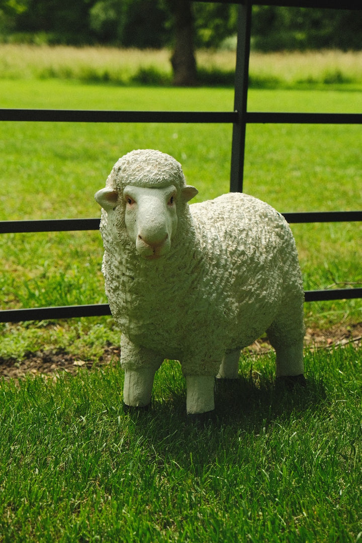 Realistic White Sheep Garden Statue Ornament Resin Outdoor Farm Animal Decor10